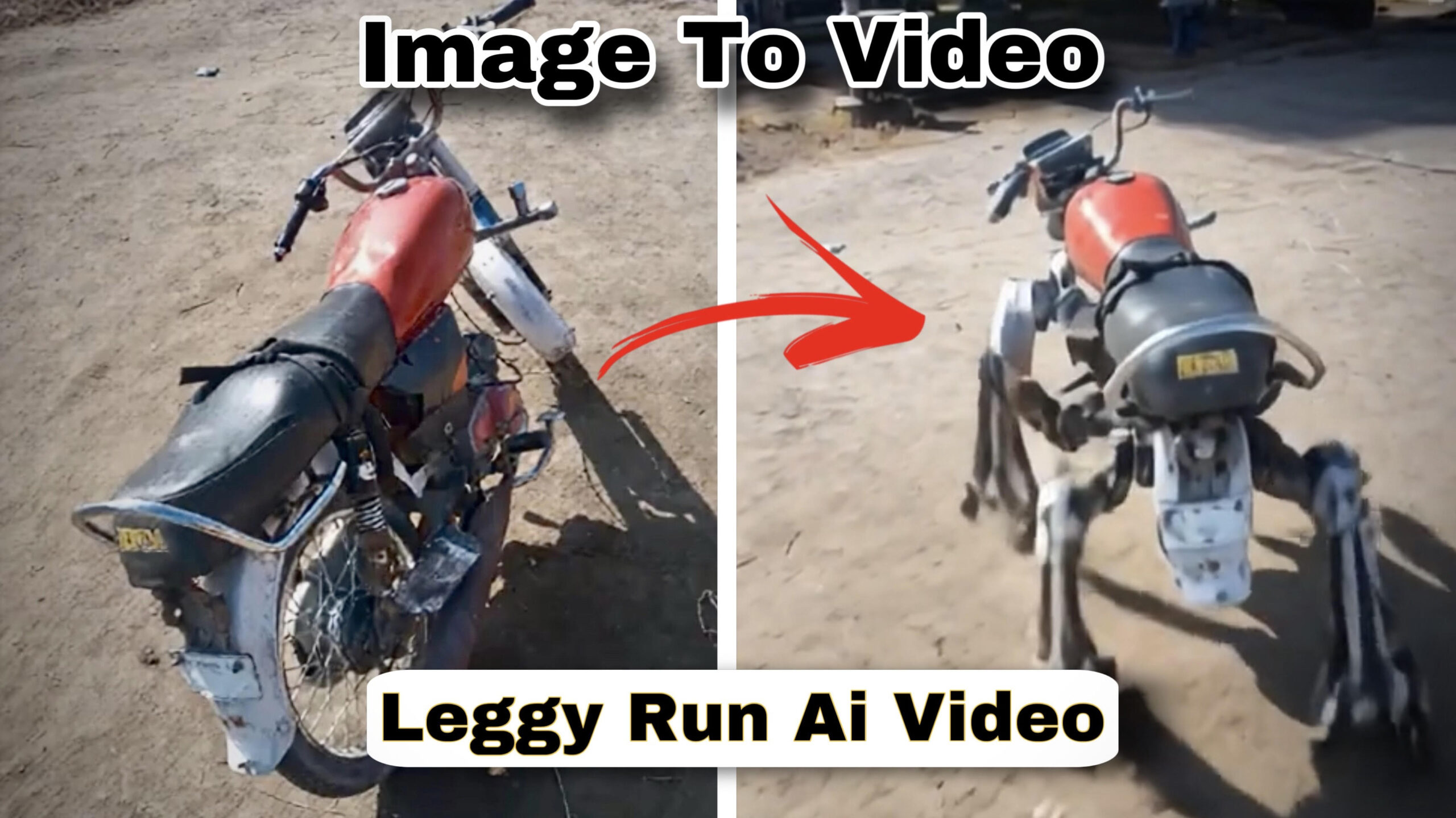 Images to Videos